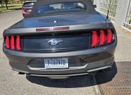 2019 Ford Mustang EcoBoost Convertible 2D