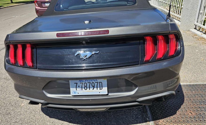 2019 Ford Mustang EcoBoost Convertible 2D